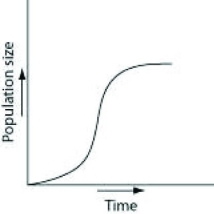Which of the following graphs best illustrates the growth curve of a small population of rodents that has increased to a static carrying capacity? A)    B)    C)    D)    