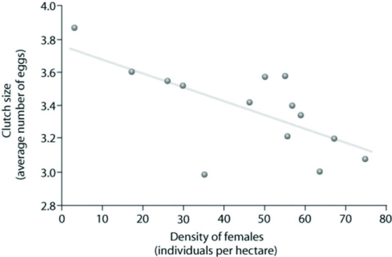 Use the graph to answer the following question.   Which of the following claims can be best supported using the data? A)  Clutch size is always lowest at a density of about 35 females. B)  As female density increases, survivorship decreases. C)  Clutch size increases as female density increases. D)  Clutch size is inversely related to density. 