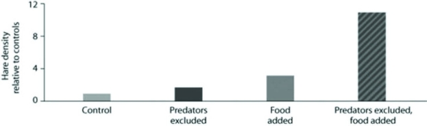Use the figure to answer the following question.   Which conclusion below is best supported by the data? A)  Food is the only factor in controlling hare population size. B)  Exclusion of lynx is the most important factor in controlling hare population size. C)  The effect of excluding predators and adding food in the same experiment is greater than the sum of excluding lynx alone plus adding food when considered individually. D)  Adding abundant food has a smaller effect on hare success than removing all of their predators. 