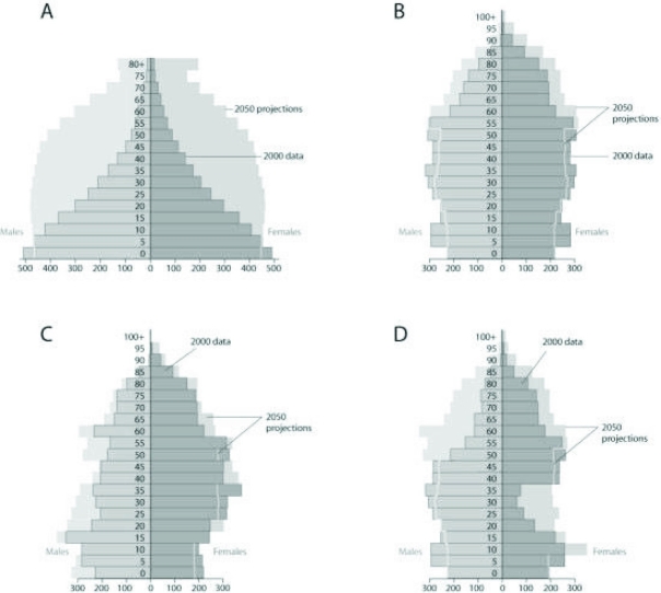 Use the figures to answer the following question.   Based on the age-structure diagrams in the figure and on the large population of baby boomers (a demographic cohort born at a reproductive peak after World War II between 1946-1964 in the United States) , which graph best reflects U.S. population in 20 years? A)  A B)  B C)  C D)  D 