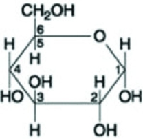 Use the following figure to answer the question.   What is the molecule represented by the figure above? A)  a hexose B)  a pentose C)  fructose D)  maltose 