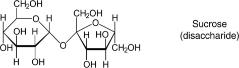Olestra is a calorie-free fat that is synthesized by reacting sucrose with fatty acids. What is the maximum number of fatty acid molecules that can crosslink with the sucrose molecule?   A)  3 B)  6 C)  8 D)  10 