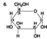 The following question is based on the 15 molecules illustrated in the figures.                               Which molecule has both hydrophilic and hydrophobic properties and is found in plasma membranes? A)  1 B)  5 C)  12 D)  14 