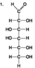 The following question is based on the 15 molecules illustrated in the figures.                               Which of the following molecules is a disaccharide? A)  1 and 4 B)  3 C)  6 D)  15 