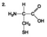 The following question is based on the 15 molecules illustrated in the figures.                               Which of the following molecules is a disaccharide? A)  1 and 4 B)  3 C)  6 D)  15 