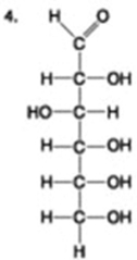 The following question is based on the 15 molecules illustrated in the figures.                               Which of the following molecules is a disaccharide? A)  1 and 4 B)  3 C)  6 D)  15 