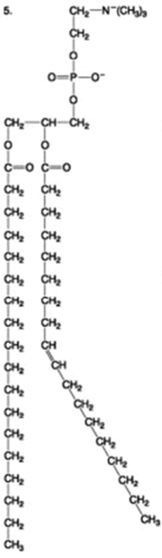 The following question is based on the 15 molecules illustrated in the figures.                               Which of the following molecules is a disaccharide? A)  1 and 4 B)  3 C)  6 D)  15 