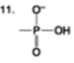 The following question is based on the 15 molecules illustrated in the figures.                               Which of the following molecules is a disaccharide? A)  1 and 4 B)  3 C)  6 D)  15 