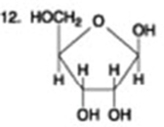 The following question is based on the 15 molecules illustrated in the figures.                               Which of the following molecules is a disaccharide? A)  1 and 4 B)  3 C)  6 D)  15 