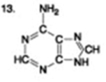 The following question is based on the 15 molecules illustrated in the figures.                               Which of the following molecules is a disaccharide? A)  1 and 4 B)  3 C)  6 D)  15 