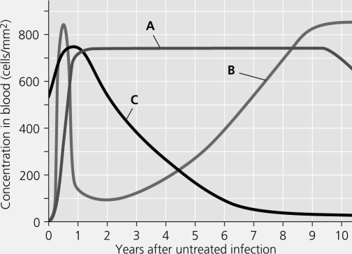 The figure shows the progress of an untreated HIV infection. Which curve represents the concentration of helper T cells in the blood?   A)  curve A B)  curve B C)  curve C D)  None of the curves show helper T cell concentration. 