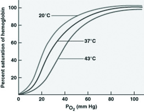 A researcher investigating the effect of temperature on hemoglobin saturation collected the data represented in the graph. Which of the following claims is most consistent with the data?   A)  The greatest delivery of oxygen from the blood to the surrounding tissues occurs at 37℃. B)  Increasing blood pH results in more oxygen unloading in tissues. C)  Colder blood temperature results in greater dissociation of oxygen and hemoglobin. D)  Hemoglobin has a lower affinity for oxygen under high temperature conditions. 