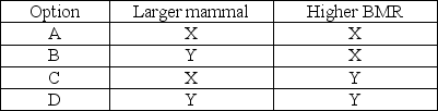 Researchers measure the heart rates, breathing rates, and blood volume (relative to body size)  for two mammals (X and Y)  and found that all three values were significantly higher in mammal X. Which option in the table best compares mammals X and Y?   A)  A B)  B C)  C D)  D 