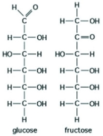 Use the following figure to answer the following question.   The figure shows the structures of glucose and fructose. Which of the following describes a difference between the two molecules? A)  number of carbon, hydrogen, and oxygen atoms B)  types of carbon, hydrogen, and oxygen atoms C)  arrangement of carbon, hydrogen, and oxygen atoms D)  number of oxygen atoms joined to carbon atoms by double covalent bonds 