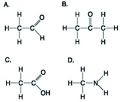 Use the figures to answer the following question.   Which molecule shown has a carbonyl functional group in the form of a ketone? A)  A B)  B C)  C D)  D 