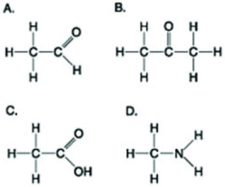 Use the figures to answer the following question.   Which molecule shown can be a result of mercaptoethanol reduction of a disulfide bridge? A)  A B)  B C)  C D)  D 
