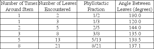 The phyllotaxy of mature shoots can be described by a phyllotactic fraction where the numerator indicates the number of times you must go around the stem to get to another leaf directly above (or below)  the starting leaf and the denominator indicates the number of leaves passed through to get back in-line with the starting leaf. These two numbers can also be used to calculate the angle between successive leaves. The most common patterns are summarized in the table below.   What is an advantage to plants as the numbers of leaves passed through increase? A)  The shoot apex will get larger as it produces larger numbers of leaves. B)  The number of leaves passed through will always increase at a faster rate than the number of times around the stem so there will be more photosynthesis. C)  The phyllotactic fraction is random, so a  counting mechanism  is not necessary. D)  The angle between leaves approaches 137.5o which minimizes shading of lower leaves by upper leaves. 