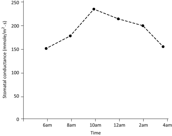 Based on the figure, at what time of day is the concentration of the hormone ABA most likely to be highest?   A)  8 am B)  10 am C)  12 pm D)  4 pm 
