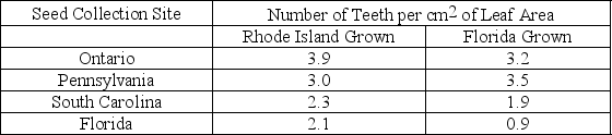 The following question is based on data from Northern Red Maples in the table below   Which data above best illustrates phenotypic plasticity in leaf  toothiness ? A)  Rhode Island Grown, Ontario Collected and Florida Grown, Florida Collected B)  Florida Grown, Ontario Collected and Florida Grown, Florida Collected C)  Rhode Island Grown, Ontario Collected and Rhode Island Grown, Florida Collected D)  Rhode Island Grown, Florida Collected and Florida Grown, Florida Collected 