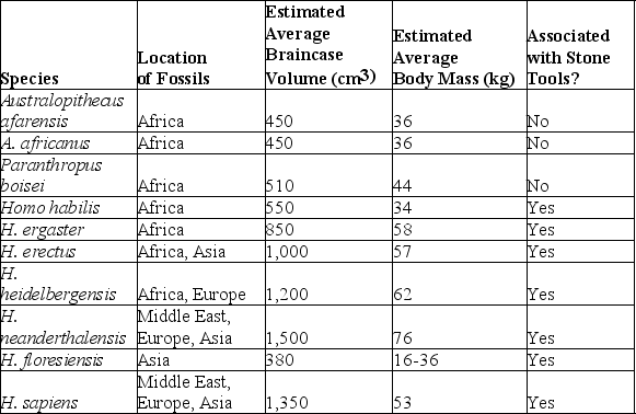 Use the following information to answer the question. Brown et al. and Morwood et al. reported in 2004 that they had found skeletal remains of a previously unknown type of hominin, now dubbed Homo floresiensis, on the Indonesian island of Flores. These hominins were small (approximately 1 m tall)  with small braincases (approximately 380 cm3)  as compared with other hominins. The remains of H.floresiensis were found alongside handmade stone tools and the remains of dwarf elephants that also inhabited the island, suggesting that H. floresiensis was able both to make tools and to coordinate the hunting of animals much larger than itself. H. floresiensis is estimated to have lived at the site where the remains were found from 700,000 years ago to 60,000 years ago.   The table is a comparison of several characteristics of H. floresiensis to those of nine other hominin species (arranged roughly from oldest to most recent) . What do these data suggest? A)  A large brain is not necessarily required for toolmaking. B)  Body mass and braincase volume are completely unrelated. C)  Hominins first evolved in and then radiated out from Asia. D)  Homo floresiensis is most closely related to Australopithecus afarensis or A. africanus. 