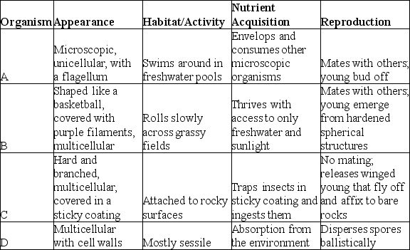 Use the table to answer the following question.   A researcher is studying animals on a previously undiscovered island, home to many unfamiliar organisms, and decides to survey them using the research equipment at hand. The researcher observes them in detail, and makes the notations shown in the table. Which of the organisms listed is most likely to contain genes encoding enzymes that can fix carbon from CO<sub>2</sub>? A)  organism A B)  organism B C)  organism C D)  organism D 