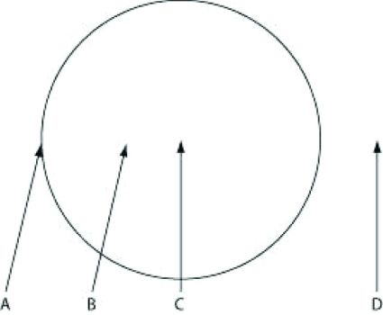 Use the information to answer the following question. The figure depicts the outline of a large fairy ring that has appeared overnight in an open meadow, as viewed from above. The fairy ring represents the furthest advance of this mycelium through the soil. Locations A-D are all 0.5 meters below the soil surface.   Where would you expect to find the oldest portion of this mycelium? A)  location A B)  location B C)  location C D)  location D 
