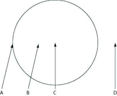Use the information to answer the following question.   Which location is nearest to basidiocarps? A)  A B)  B C)  C D)  D 