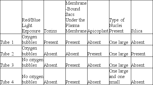 You are given four test tubes, each containing an unknown protist, and your task is to read the following description and match these four protists to the correct test tube. Use the information in the table to answer the question.   Based on these data, what type of organism is present in tube 3? A)  Paramecium B)  Pfiesteria (dinoflagellate)  C)  Entamoeba D)  Plasmodium 