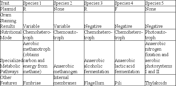The following table depicts characteristics of five prokaryotic species (1-5) . Use the information in the table to answer the following question.   Which two species contain more cytoplasmic phospholipid membranes than the others? A)  species 1 and 2 B)  species 1 and 3 C)  species 2 and 5 D)  species 3 and 4 