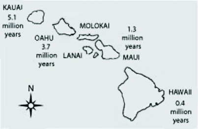 The following questions are based on information from Yeh P., Rapid evolution of a sexually selected trait following population establishment in a novel habitat, Evolution 58(1) :166-74 (2004) .   The Hawaiian Islands are the tops of undersea volcanoes in the Pacific Ocean. The oldest islands are the northwest-most islands. The islands get progressively younger to the southeast. Hawaii, the  big island,  arose from the ocean less than one million years ago. Which of the following processes likely most strongly influenced the evolution of life on the big island when organisms first arrived? A)  the bottleneck effect B)  sexual selection C)  habitat differentiation D)  the founder effect 