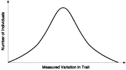   In a very large population, a measurable trait has the distribution pattern shown in the diagram. Assume the trait is genetically determined. If there is no gene flow and the curve shifts to the left or to the right, which of the following processes is most likely occurring? A)  immigration or emigration B)  directional selection C)  disruptive selection D)  genetic drift 