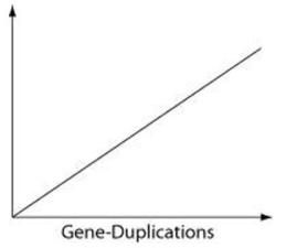Which of the following items is most likely to form a simple linear relationship with the number of gene-duplication events, when placed as the label on the vertical axis of the following graph?   A)  number of mitochondria B)  number of cells/organism C)  genome size D)  phenotypic complexity 