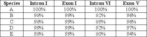 The question refers to the table, which compares the percent sequence homology of four different parts of a gene (two introns and two exons)  that is found in five different eukaryotic species. The data show the percentage of sequence homology of each intron and exon in comparison to the sequences in species A. Percentage of Sequence Homology   Which of these four gene parts should allow the construction of the most accurate phylogenetic tree, assuming that this is the only part of the gene that has acted as a reliable molecular clock? A)  Intron I B)  Exon I C)  Intron VI D)  Exon V 