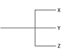 Currently, two of the living elephant species (X and Y)  are placed in the genus Loxodonta, and a third surviving species (Z)  is placed in the genus Elephas. Assuming this classification reflects evolutionary relatedness, which of the following is the most accurate evolutionary tree? A)    B)    C)    D)    