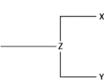 Currently, two of the living elephant species (X and Y)  are placed in the genus Loxodonta, and a third surviving species (Z)  is placed in the genus Elephas. Assuming this classification reflects evolutionary relatedness, which of the following is the most accurate evolutionary tree? A)    B)    C)    D)    