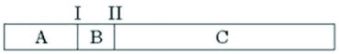 Use the figure to answer the following question.   The segment of DNA shown in the figure has restriction sites I and II, which create restriction fragments A, B, and C. Which of the gels produced by electrophoresis best represents the separation and identity of these fragments? A)    B)    C)    D)    