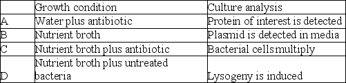 Use the following information to answer the question. In an effort to produce large amounts of a eukaryotic gene product, a plasmid that contains both a eukaryotic gene of interest and an antibiotic resistant gene was constructed. A transformation was performed to attempt to insert the plasmid into the bacterium, E. coli. Which of the following describes a growth condition and culture analysis that supports the claim that plasmid has entered the E. coli bacterial cell.   A)  A B)  B C)  C D)  D 
