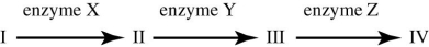 Use the figure to answer the question.   Refer to the metabolic pathway illustrated. If I, II, III, and IV are all required for growth, a bacterial strain that does not make enzyme X would be able to grow on medium supplemented with which of the following nutrient(s) ? A)  nutrient A only B)  nutrient B only C)  nutrients A and B only D)  nutrients B, C, and D only 