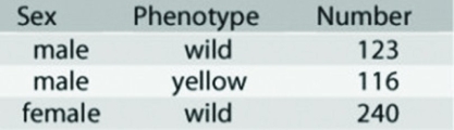 Use the following information to answer the question.   In a Drosophila experiment, a homozygous wild-type female was crossed with a yellow-bodied male. All of the resulting F1 flies were phenotypically wild type. Crossing the F1 flies resulted in F2 flies having the characteristics shown in the figure. Which of the following statements best describes the yellow body allele? A)  It is recessive. B)  It is codominant. C)  It is dominant. D)  It is incompletely dominant. 