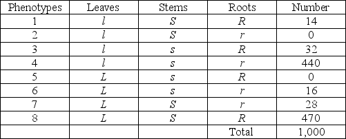 Use the following information to answer the question. A plantlike species on the hypothetical planet Pandora has three genetic traits: leaf color, controlled by gene L; a stem texture, controlled by gene S; and root length controlled by gene R. Each of the three genes has two alleles. The three genes are linked and recombine. A geneticist performed a testcross with an organism of that species that is heterozygous for the three traits. She recorded progeny with the following phenotypic distribution:   Assuming that genetic inheritance for this hypothetical plant functions the same as on Earth, the parents in this cross most likely have the same phenotypes as which of the following progeny? A)  2 and 5 B)  1 and 6 C)  4 and 8 D)  3 and 7 