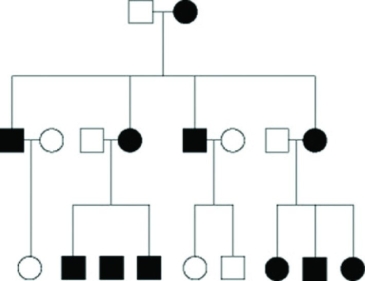 Use the following figure to answer the question. Shaded symbols indicate affected individuals.   The pedigree in the figure shows the transmission of a trait in a particular family. Based on this pattern of transmission, the trait is most likely ________. A)  mitochondrial B)  sex-linked dominant C)  sex-linked recessive D)  autosomal dominant 