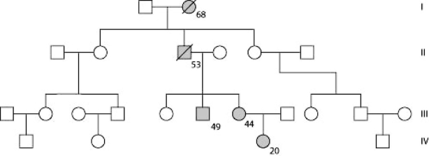 <strong>The figure shows the pedigree of a family. Dark-shaded symbols represent individuals with one of the two major types of colon cancer. Numbers under the symbols are the individual's age at the time of diagnosis. Males are represented by squares, females by circles.   Based on this pedigree, this trait is most likely inherited ________.</strong> A) by older individuals B) as a recessive trait C) as a result of epistasis D) as a dominant trait <div style=padding-top: 35px> 