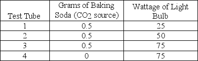 Lab students placed ten spinach leaf disks in each of three test tubes containing a baking soda solution and a control tube without baking soda. The volume of liquid in each tube and the temperature of the solutions were held constant. All tubes were placed an equal distance from a light source as indicated in the accompanying table. After 10 minutes, the amount of oxygen present in each sample was measured.   Which tube is expected to contain the greatest quantity of oxygen? A)  Tube 1 B)  Tube 2 C)  Tube 3 D)  Tube 4 