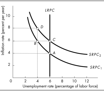   -In the above figure, suppose that the economy is at point A. An expected increase in the inflation rate to 6 percent will result in a movement to point A)  A, that is, there is no movement. B)  B. C)  C. D)  D.
