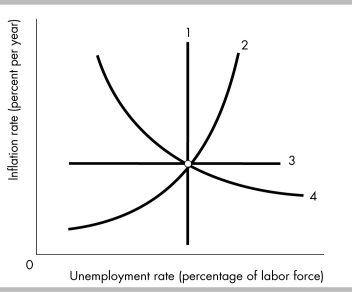   -In the above figure, which of the following curves represents the long-run Phillips curve? A)  1 B)  2 C)  3 D)  4