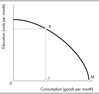   -Molly just graduated from high school. The figure shows her possibilities frontier. If Molly goes to college, she will move from point M to point K. In terms of consumption goods, Molly's opportunity cost of going to college is A)  MK. B)  OL. C)  KL. D)  LM.