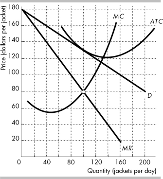   The figure shows the demand curve for Gap jackets (D) , and Gap's marginal revenue curve (MR) , marginal cost curve (MC) , and average total cost curve (ATC) . -In the figure above, what is Gap's excess capacity? A)  32 jackets per day B)  zero C)  4 jackets per day D)  132 jackets per day
