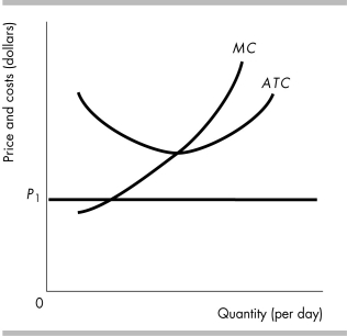   -Suppose the cost curves in the above figure apply to all firms in the market. If the initial price is P<sub>1</sub>, firms are ________ and some firms will ________ the industry. A)  making an economic profit; leave B)  making an economic profit; enter C)  incurring an economic loss; leave D)  incurring an economic loss; enter