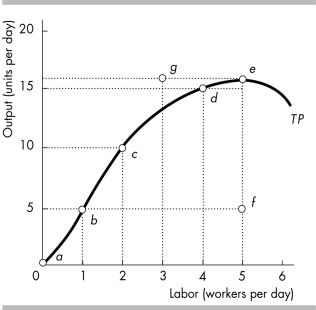   -In the above figure, the maximum number of units that 4 workers can produce is A)  5 units. B)  10 units. C)  15 units. D)  more than 15 units.
