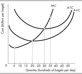   -Based on the above figure of the costs at Barney's Bagel Bakery, at which level of output will diminishing marginal returns first occur? A)  at 1 bagel B)  at 500 bagels C)  at 2000 bagels D)  at 3000 bagels